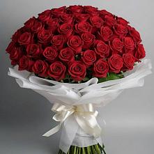 Букет 101 Красная роза Блэк Мэджик в Балковском