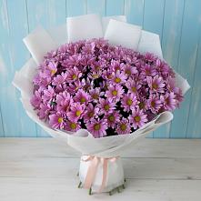 Букет цветов из:  Хризантемы #REPLACE_PRED# Балковском