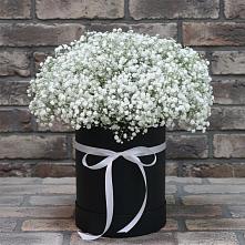 Цветочная композиция из Гипсофила в шляпной коробке в Балковском